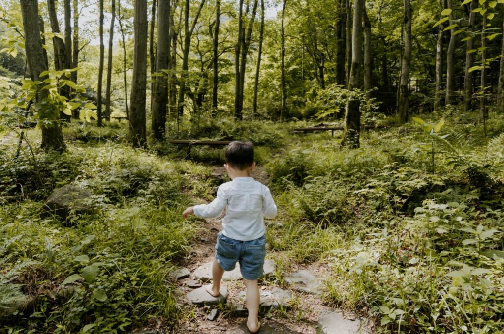 marcher en foret