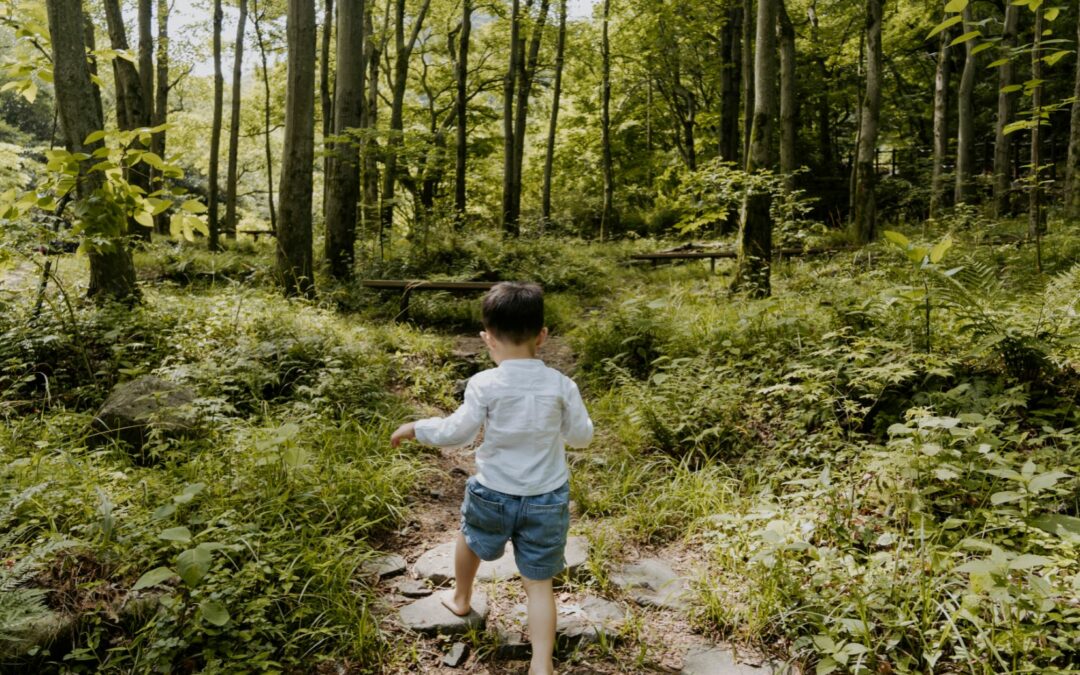 Marcher en forêt avec les tout-petits : une source de bonheur et de bienfaits
