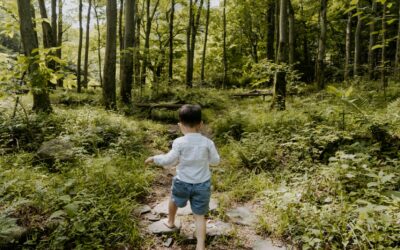 Marcher en forêt avec les tout-petits : une source de bonheur et de bienfaits